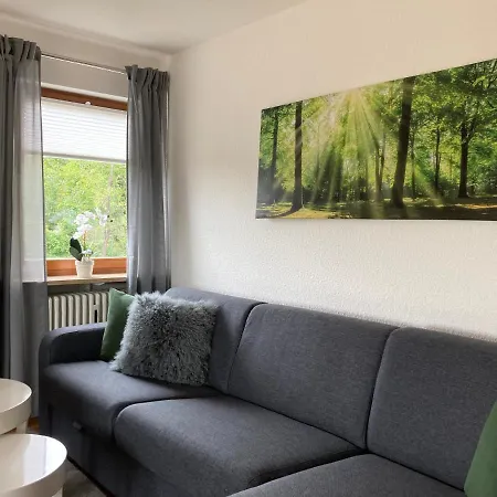 Panorama Apartment *
